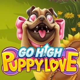 Go High Puppy Love logo by RubyPlay Billybets Casino