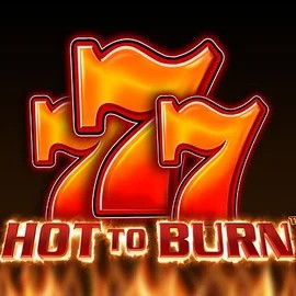 Hot To Burn game by Pragmatic Play – logo hosted on Billybets Casino